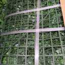 20"x20" (8P), Artificial Greenery Grass Wall Backdrop, UV-Anti