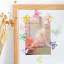 2 x KEYDUACU 12Pcs Strong Refrigerator Magnet Fridge Sticker,3D Colorful Butterfly Craft Decoration Magnet,Strong Fridge Magnets for Kitchen, Office Whiteboard, Cabinet and Dishwasher