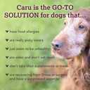 Caru - Real Turkey Stew For Dogs, Natural Adult Wet Dog Food With Added Vitamins And Minerals, Free From Grain, Wheat And Gluten (12.5 Oz) (EXP 01/21/26)