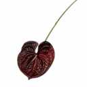 Jiumengya 8pcs Artificial Anthurium Flower Branch 60cm 3D Printing Effect Faux Real Touch Single Stem per Piece Anthurium for Home Table Floral Decoration (Dark red)