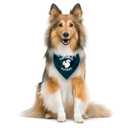 Squirrel Patrol Dog Bandana, Teal Dog Bandana, Funny Cute Dog Bandana, Dog Squirrel Bostume, Squirrel Costume for Dogs, Pet Dog Triangle Scarf, Dog Bandana for Small Medium Large Dogs (F44)