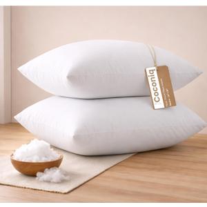 20x20 Throw Pillow Inserts Pack of 2, Premium Polyester Cushion Fillers, Fluffy White Decorative Pillows for Couch, Bed & Chairs