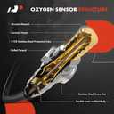 A-Premium O2 Oxygen Sensor Upstream Left Compatible with Ford F-150 2018 2019 2020 2021, 3.3L 5.0L, B2S1, Flex Only