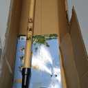 Grampa's Weeder - The Original Stand Up Weed Puller Tool with Long Handle - Made with Real Bamboo & 4-Claw Steel Head Design - Easily Remove Weeds Without Bending, Pulling, or Kneeling.
