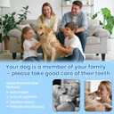 Dog Plaque Remover for Teeth,Pet Tooth Cleaner with LED Light,Cleaning Kit for Tartar and Stains,5 Adjustable Modes,Pet Teeth Cleaning kit,Suitable for Dogs and Cats (White)