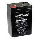 ExpertPower 6 Volt 4.5 Amp Rechargeable Battery (EXP645) Black