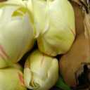 Nearly Natural 22in. Tulip Artificial Flower (Set of 8)