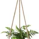 Dahey Hanging Plant Shelf Round Wood Rope Hanging Floating Shelf Vintage Home Decor Display Planter Rack for Living Room Bedroom Kitchen, Dark Brown