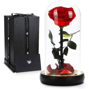Valentines Day Gifts for Her, Beauty and The Beast Rose,Preserved Real Rose in Glass Dome,Forever Flowers with Warm Lights,Valentines Rose Gifts for Women Wife Mom Girlfriend,Birthday Gifts for Women