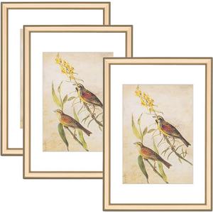 3.5x5 Picture Frame Set of 3, Matte Brass Modern Thin Aluminum Metal Photo Frame with HD Glass, Fits 2.5x3.5 with Mat or 3.5 x 5 without Mat, for Tabletop and Wall Mounting