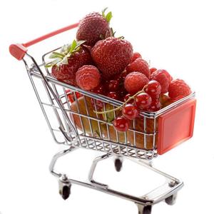 Shindel Mini Shopping Cart for Kids, Grocery Store Pretend Play for Toddler Supermarket Handcart Trolley Dollhouse Toys for Kids