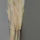 10 Stems 46" inch White Pampas Grass Decor Tall, Large Pompas Grass, Boho Neutral Home Decor Bouquet, Fluffy Pampass Grass for Floor Vase Wedding Floral Arrangements Wall Farmhouse Table Decor