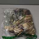 Morphsuits mens Monster the Zombie Skinsuit (XX-Large)