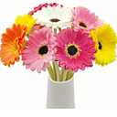 15 Pcs Artificial Gerbera Daisies Flowers Fake Daisy Real Touch PU Faux Flowers Bouquet for Indoor Home Arrangements Vase Wedding Party Table Centerpiece DIY Floral Decor