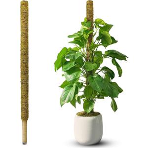 DUSPRO 59 Inches Non-Bendable Pole for Big Climbing Plants, Large Moss Pole for Monstera, Indoor Plant Stakes, Support (1pc., 59'')