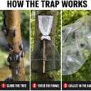 Spotted Lanternfly Tree Trap, Non-Toxic Wildlife-Safe Design, Made in USA