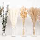 110 PCS of Boho Pampas Grass Decor, Naturally Dried Pompas, Bunny Tails Dried Flowers, and dried eucalyptus. Perfect for Weddings, Boho Party Decorations, and Table Decor.