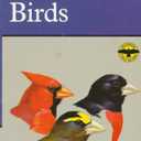 Eastern Birds (Peterson Field Guides) (The Peterson Field Guied Series)
Paperback – January 1, 1998