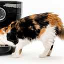 Feeder-Robot by Whisker, Black with Smoke-Grey Hopper; Smart, Automatic Pet Feeder, Feed Your Cat or Dog from Anywhere, Designed & Assembled in USA