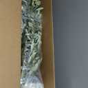 Faux Olive Tree 7ft  Realistic Olive Trees Artificial Indoor 7 Feet with Planter - Tall Fake Potted Olive Tree with Natural Wood Trunk & Green Leaves, Elegant Faux Tree for Home Office Decor