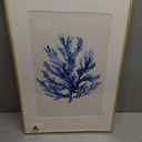 Framed Coastal Coral Wall Art for Living Room, Large Navy Blue Watercolor Coral Artwork for Walls, 3 Piece Minimalist Ocean Beach Marine Plants Pictures Prints for Bedroom Hallway Wall Decor, 16x24 In, 16" W x 24" H x 3Pcs