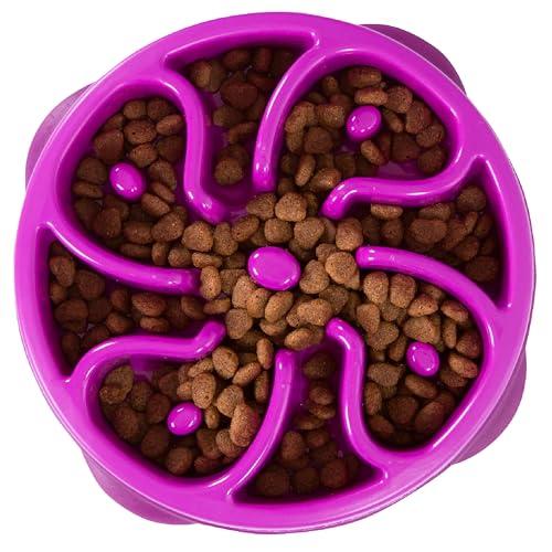 Outward Hound Fun Feeder Slo Bowl – Medium 2‑Cup Capacity, Slow Feeding, Small to Medium Dogs & Cats, Non-Slip, Purple, Flower Pattern