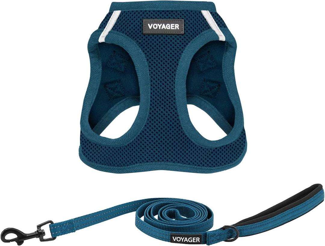Voyager Step-in Air Cat Harness - All Weather Mesh Step in Vest Harness for Small and Medium Cats by Best Pet Supplies - Set (Blue), XXS (XXS (Chest: 11.5 - 13" * Fit Cats))