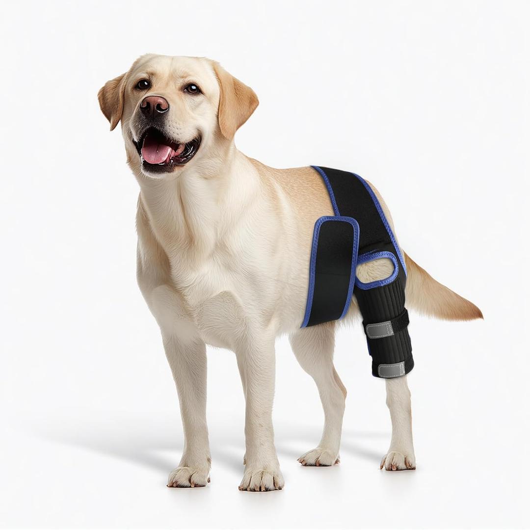 RUXAN Dog Knee Brace for Torn ACL & Hind Leg Support, Keeps The Joint Warm and Stable, Dogs Rear Leg Wrap Harness Set for Leg Wound Care and Lick Prevention - S