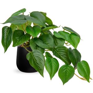 DILATATA Fake Plants Indoor 8 Inch Artificial Pothos Plant in Black Ceramic Pot - Faux Potted Pothos Plant for Home Aesthetic Decor Living Room Shelf Office