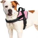 rabbitgoo Dog Harness for Large Dogs, No Pull No Choke Pet Vest, Easy Wearing with One Buckle, Reflective, Adjustable Pet Harness with Molle for Walking, Training, Pink, L