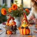 BUTILIVEEN Thanksgiving Gnomes with Pumpkin Figurines, Fall Gnomes Decorations for Tabletop, Mantle and Shelf, Autumn Garden Statue Decor, Hand-Painted, Resin, 7.5Inch