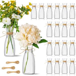 30 Pcs Plastic Flower Bud Vases Bulk with Twines Ropes Small Mini Flower Vases for Centerpieces Decorative Plastic Bottles for Wedding Reception Dining Table Home Decoration (Transparent)