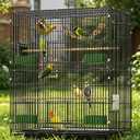 30-inch Folding Parrot Medium Bird Cage, Hanging Bird Cage for Parakeets Finches Canaries Lovebirds Cockatiels Budgies Small Quaker Conures Travel Pet Flight Birdcage with Swing and Perch