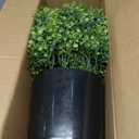 Set of 2 Artificial Boxwood Topiary Ball Trees - UV Resistant Faux Boxwood Potted Plants, Spring Summer Greenery Fake Bushes for Front Door Farmhouse Garden Porch Outdoor Decor