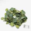 32FT | 100 LED Artificial Eucalyptus Leaf Garland String Lights, Battery Operated Artificial Vine Fairy String Lights for Wedding Home Bedroom Birthday Garden Party Decor