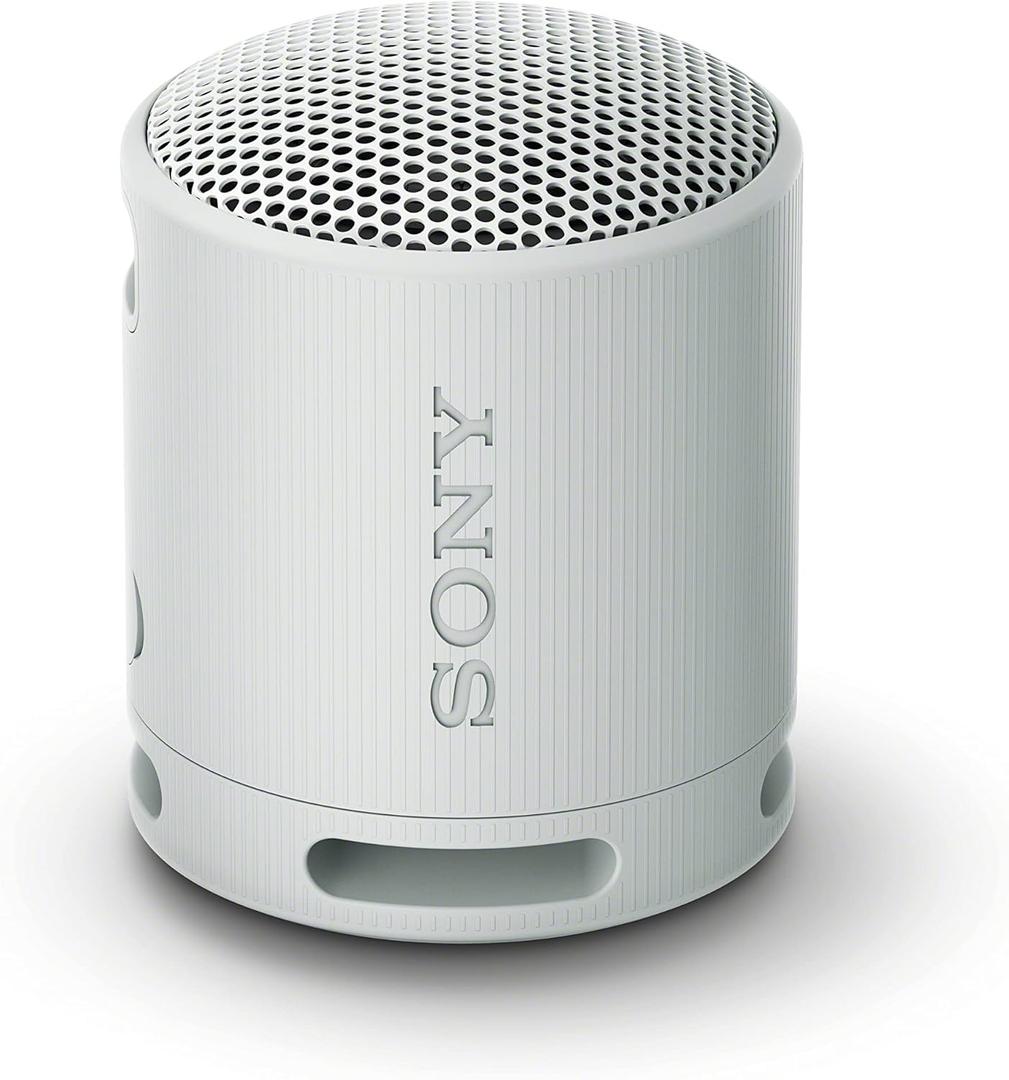 Sony SRSXB100/H Portable Mp3 Player Wireless Speaker Systems Light Gray 