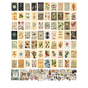 ASMANNA 120 Pcs Vintage Wall Collage Kit Aesthetic Pictures with Pretty Stickers Posters for Room Aesthetic Vintage Botanical Wall Art Cute Dorm Photo Wall Decor for Teen Girls
