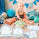 96Pcs One Silly Goose Birthday Party Decoration Silly Goose 1st Birthday Disposable Plates and Napkins Blue Geese Tableware Dinnerware Supplies for Boys Baby Shower Party Favor Serve 24