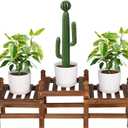 3 Tier Plant Stand Indoor,Wooden Low Plant Bench for Multiple Plants,Corner Flower Pot Stand Long Plant Holder for Balcony Patio Garden Decor (Free-Style Combination)