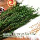 Preserved Real Pine Leaves Branches, 17'' Natural Pine Needles Green Plants, 3.5OZ Greenery Twigs Stems, Evergreen Picks for Christmas Garland Wreath Home Wedding Decor Floral Arrangements