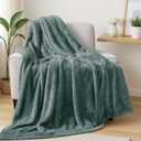 Exclusivo Mezcla Plush Fuzzy Fleece Throw Blanket Extra Large, Super Soft, Fluffy and Warm Blankets for Couch, Bed, All Season (Celadon, 50x70 inches)