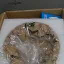 Gold Floor Lamp for Living Room,Bedroom,Mid Century Modern Standing Lamp with Remote,Dimmable Brass Tall Lamp Green Glass Lamp Vintage Retro Arc Floor Lamps Flower Floor Light Boho Bohemian