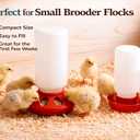 Baby Chick Feeder, Waste Free Chicken Feeder Jar, Duckling Feeder for Pigeon, Birds & Small Flock Feeding, 1 Quart Poultry Feeder with 8 Feeding Holes.
