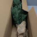 3Ft Pre-Lit Spruce Tabletop Christmas Tree Lights Timer