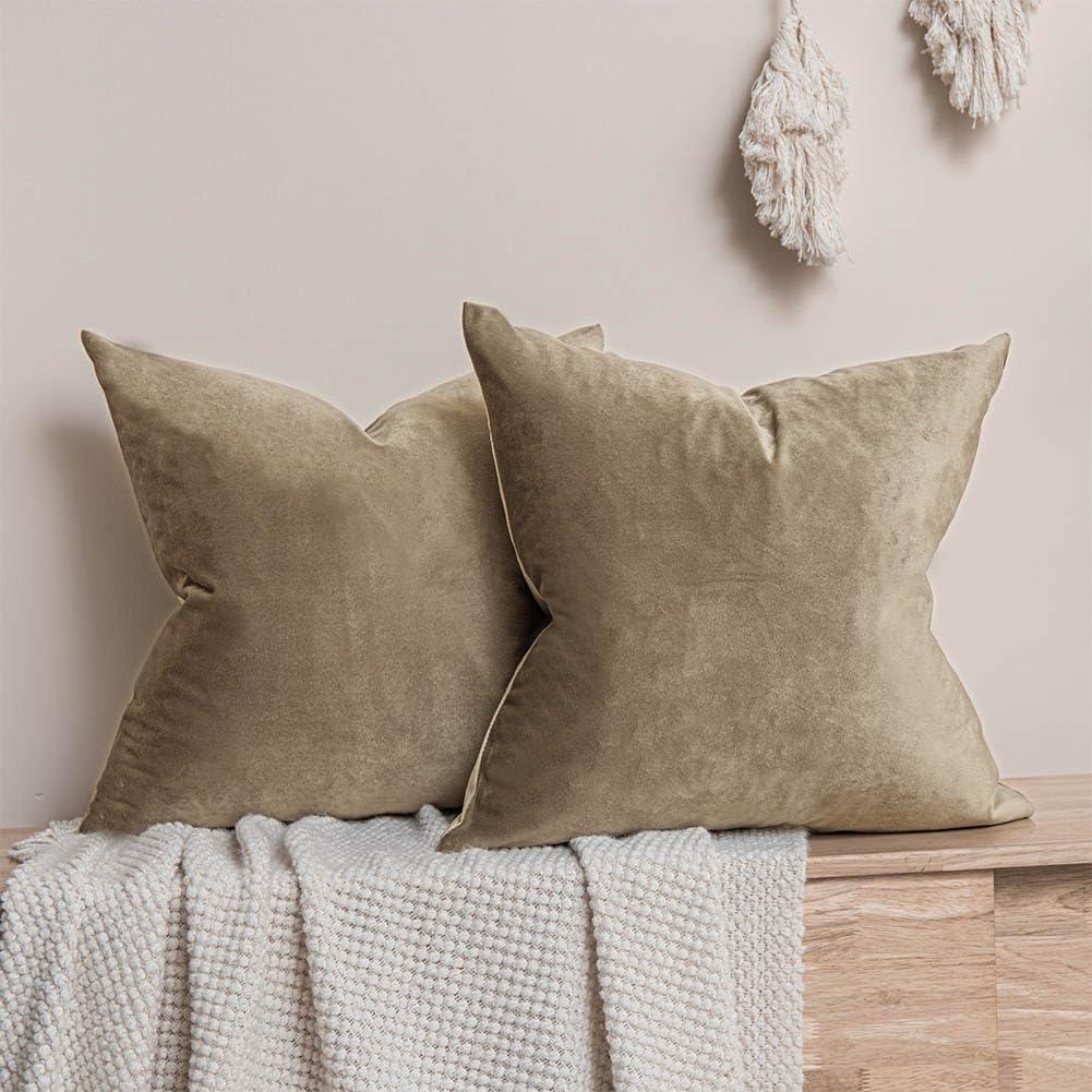 JUSPURBET Stone Velvet Throw Pillow Covers 22x22 inch Set of 2 for Living Room Couch Bedroom Decorative Luxury Soft Cushion Cases with Invisible Zipper