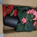 2 Pack Artificial Geranium Fake Flowers for Outdoors Spring Summer Decor, Silk Geraniums Flowers UV Resistant Faux Flower Potted Plants for Gardens Farmhouse Indoor Home Table Decor (Rose Red)