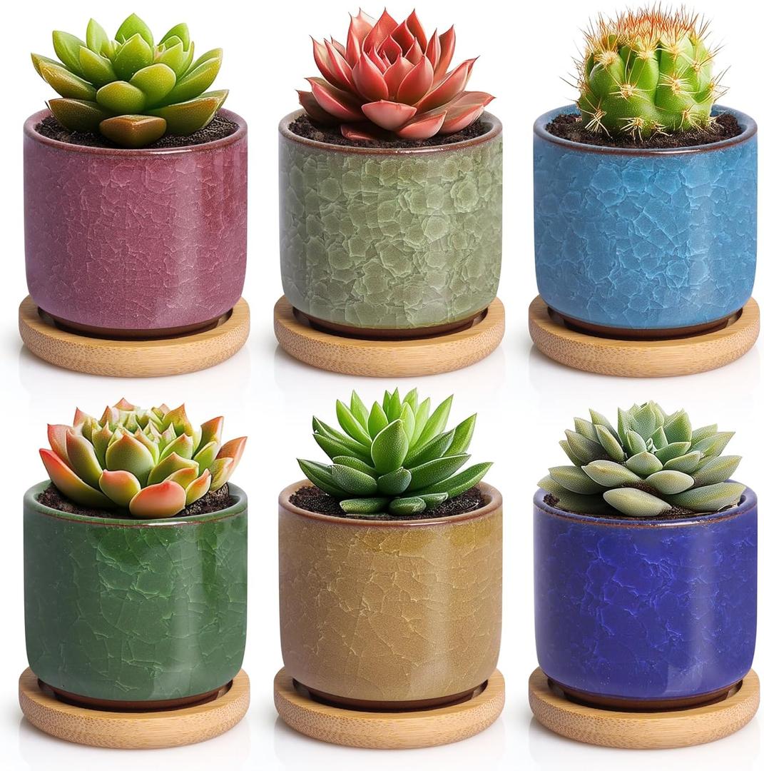T4U 2.5 Inch Small Ceramic Succulent Planter Pot with Bamboo Saucer Set of 6, Ice Crack Glaze Porcelain Handicraft Plant Container Gift for Mom Sister Aunt Best for Home Office Desk Decoration