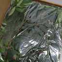 5 Pack 6 ft Artificial Willow Leaves Vine Garland Hanging Greenery Fake Silk Rattan Wicker Twig Italian Ruscus Plant Faux Ivy Wedding Garland for Home Outdoor Table Centerpiece Wreath Arch Decor