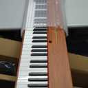 88 Key Digital Piano Keyboard,88 Key Full Size Weighted Hammer Action Electric Keyboard Piano with 200 Rhythms,200 Tones, Piano Keyboard with Stand, TriplePedal,Headphone, Carrying Bag