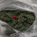 Sggvecsy 6Ft Christmas Cedar Garland Real Touch Artificial Pine Cypress Realistic Greenery Garland for Table Wall Mantle Indoor Fireplace Home Holiday Winter Xmas Decoration (1 Pack)